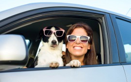 Woman and dog in car on summer travel. Funny dog with sunglasses traveling. Vacation with pet concept.