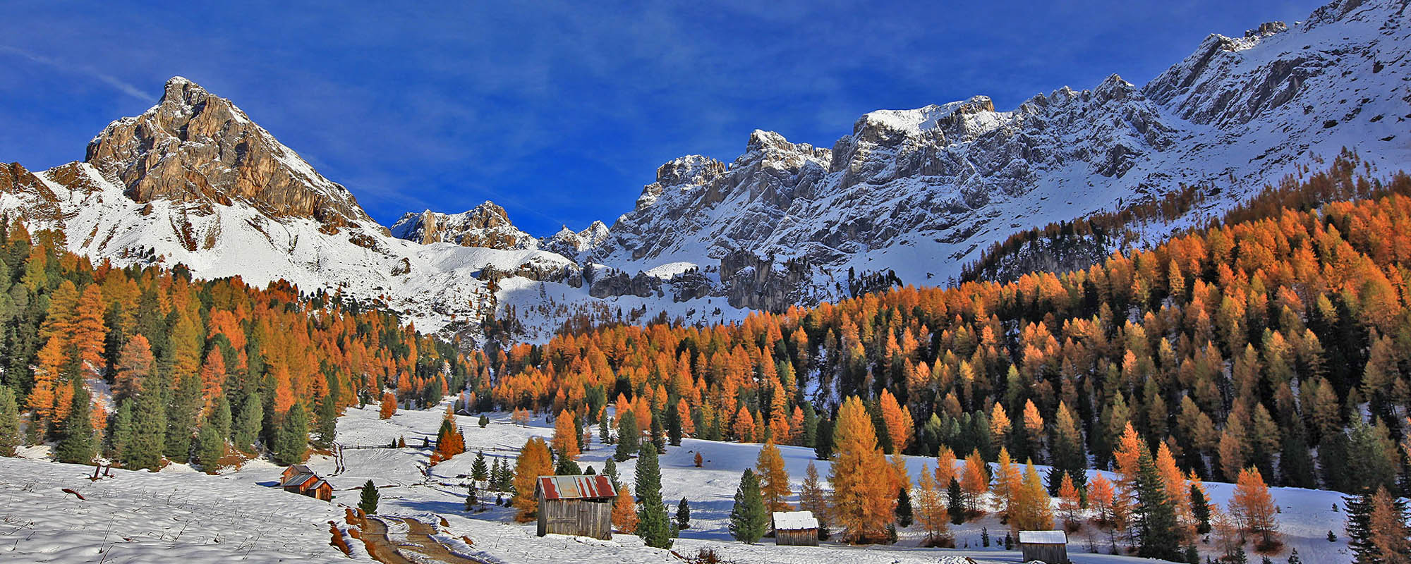 autunno_Top2000 autunno_Top2000