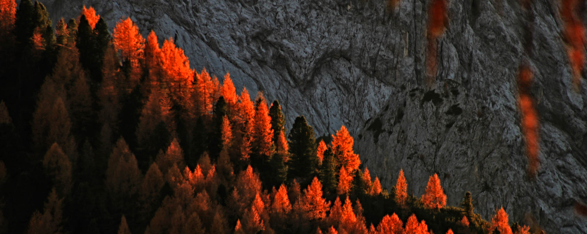 colori_autunno_Top2000