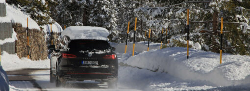 Val di Fassa Pet Friendly: vacanze con gli amici a quattro zampe