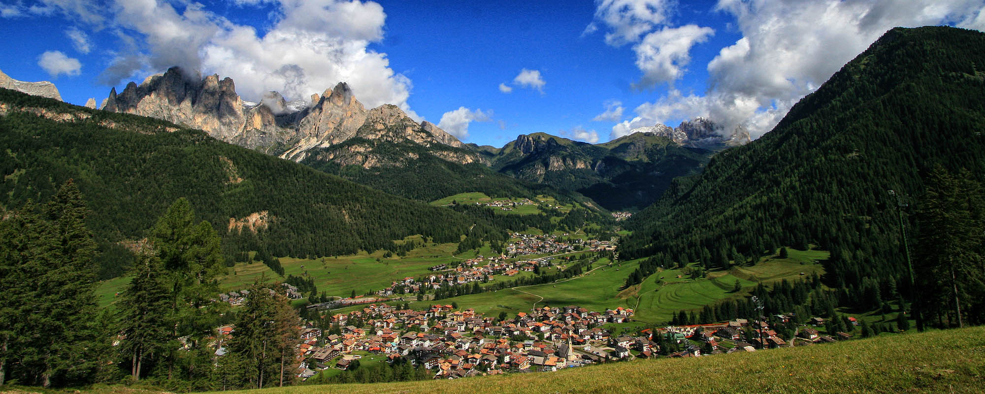 pozza_Top2000 pozza_Top2000