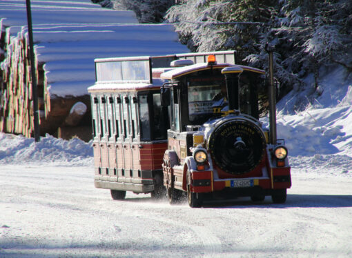 Skibus Val di Fassa: la mobilità intelligente sulle Dolomiti