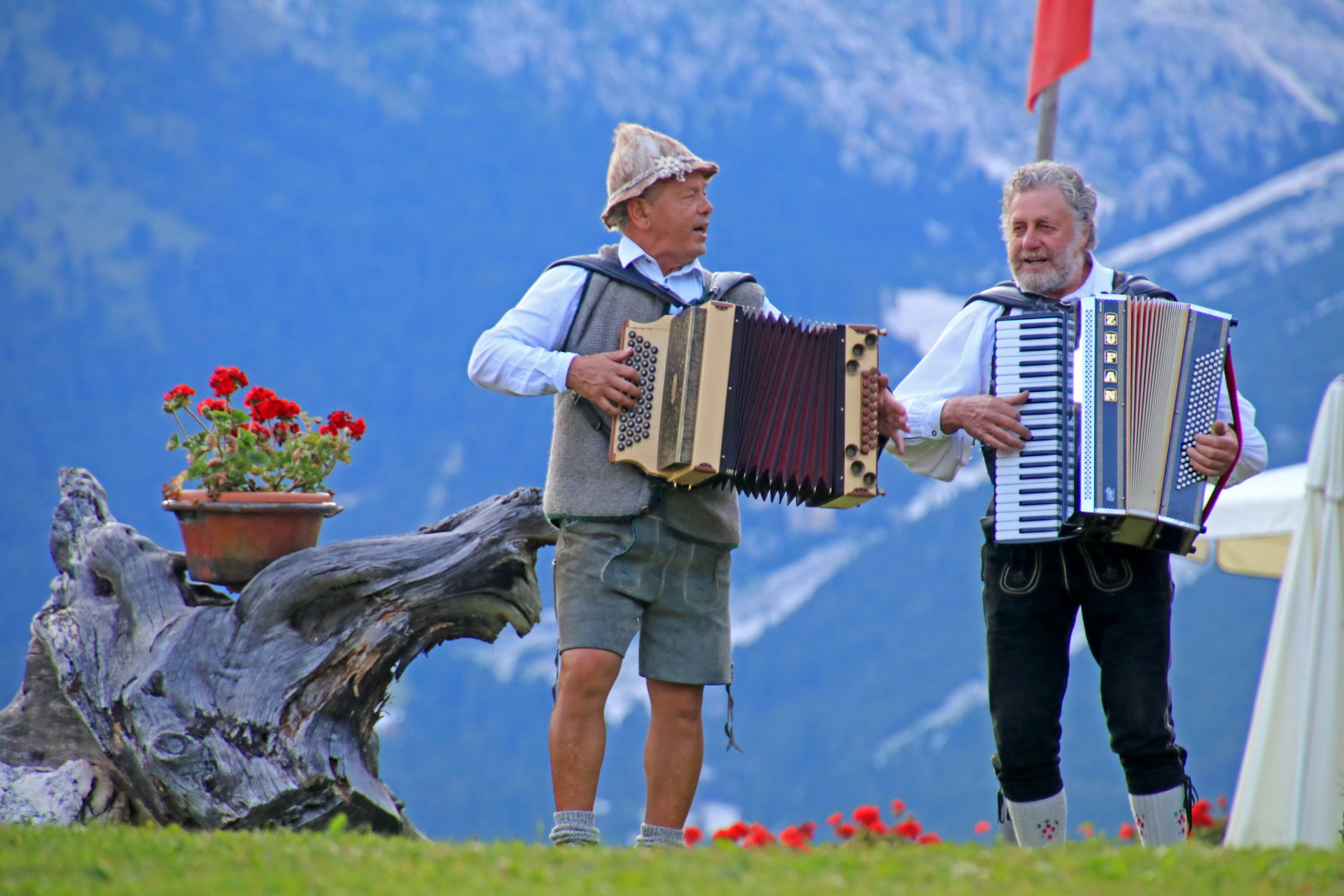 Dolomiti Network