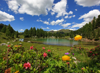 Fuori dalle rotte battute: 5+1 escursioni poco affollate in Val di Fassa anche ad agosto