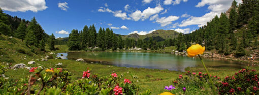 Camminare in montagna: straordinari benefici!