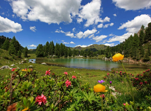 Fuori dalle rotte battute: 5+1 escursioni poco affollate in Val di Fassa anche ad agosto