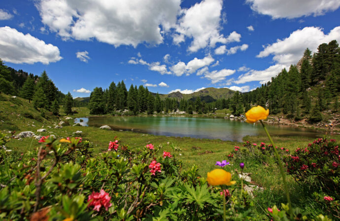 Fuori dalle rotte battute: 5+1 escursioni poco affollate in Val di Fassa anche ad agosto