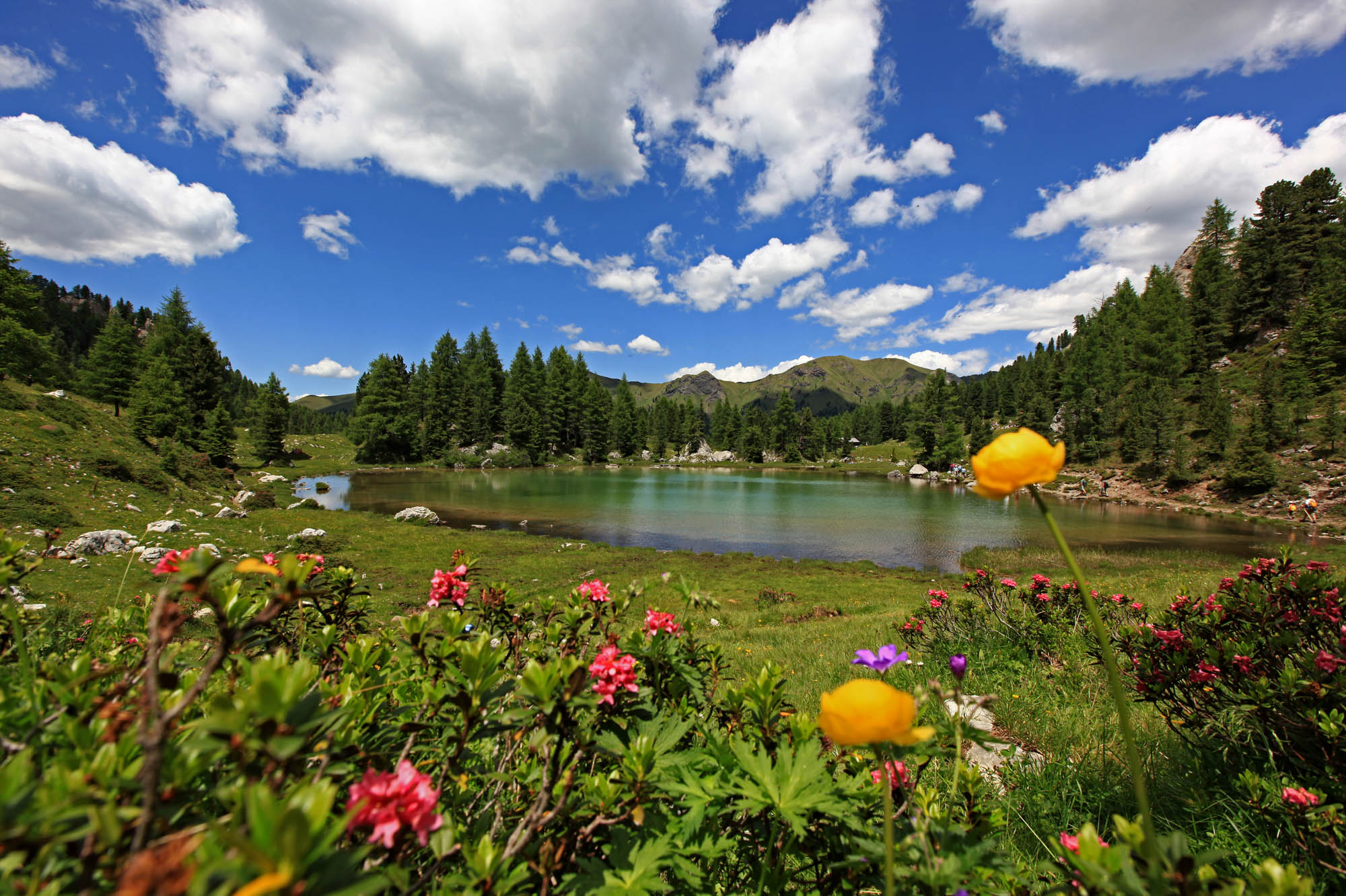 Dolomiti Network