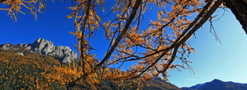 Dolomiti Meteo 2.0