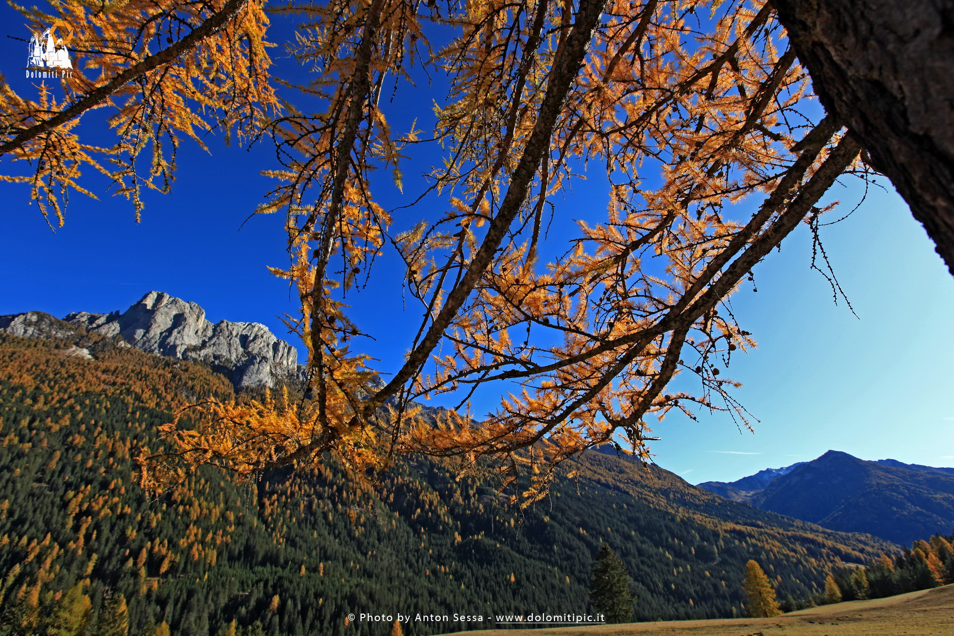 Dolomiti Network